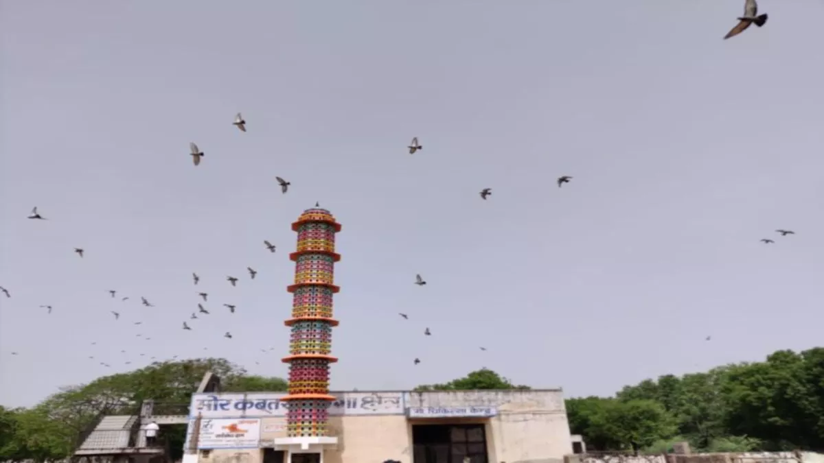राजस्थान की राजधानी जयपुर में पक्षियों के लिए अर्पाटमेंट की तरह बना पक्षीघर