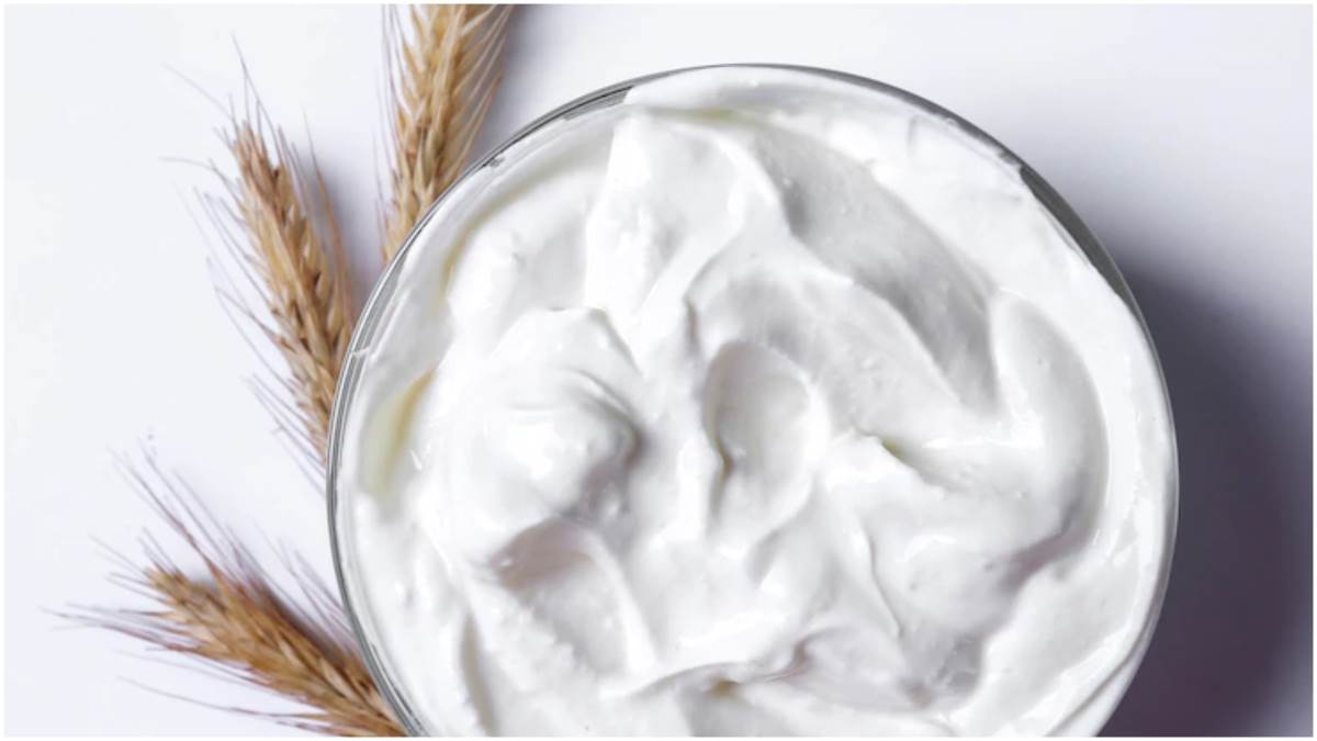 Greek Yogurt क्या दही से बेहतर होता है ग्रीक योगर्ट? जानें इसके