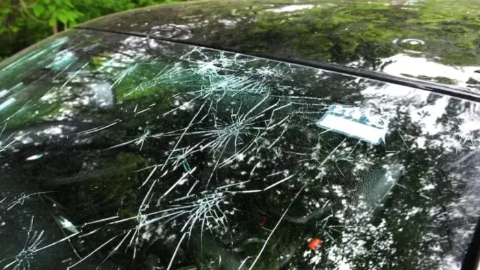 how to protect car windshield see all details here