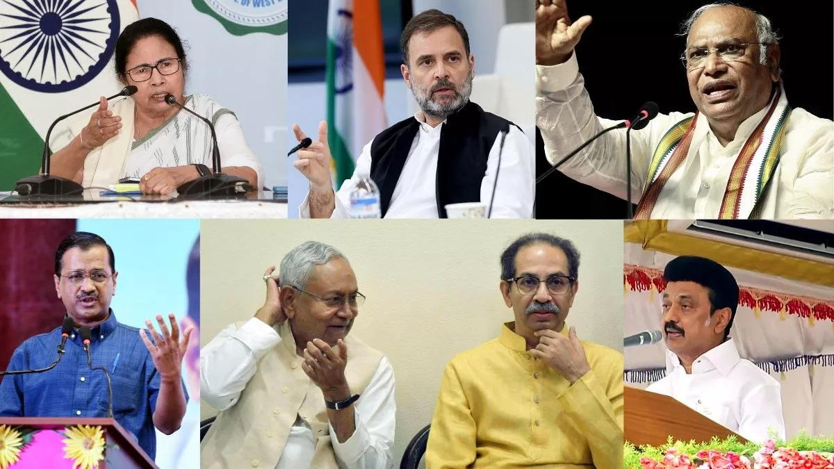 Opposition Meeting In Patna: विपक्षी दलों की बैठक में देश को परेशान करने वाले मुद्दों पर होगी चर्चा: शरद पवार