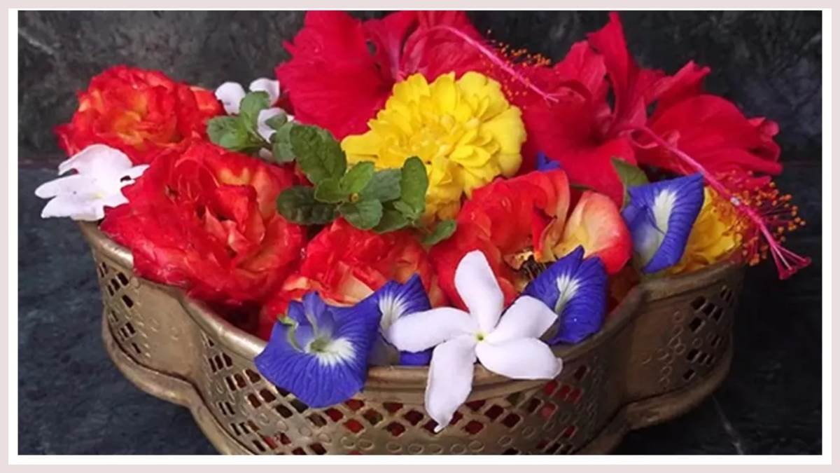 Puja Path Niyam: पूजा के समय देवी-देवता को क्यों चढ़ाए जाते हैं फूल, जानिए  सही तरीका - Puja Path Niyam Why are flowers offered to deities at the time  of worship right