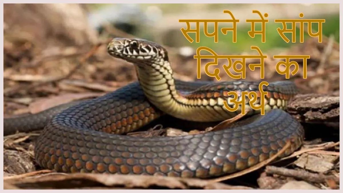 Dream Astrology: क्या आपको भी सपने में दिखाई देता है सांप, जो जानिए इसके  शुभ या अशुभ परिणाम - Dream Astrology Dream Interpretation what does it mean  to see a snake in