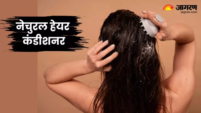 मानसून के लिए परफेक्ट हैं ये Homemade Hair Conditioner (Image Source: Freepik)