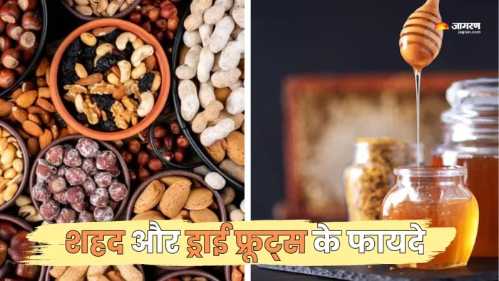 शहद और ड्राई फ्रूट्स से मिलेंगे सेहत को कई फायदे (Picture Courtesy: Freepik)