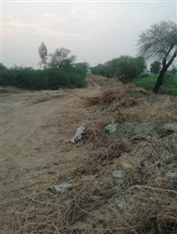 Forest department asks for three hectares of land to make road on King Gohar