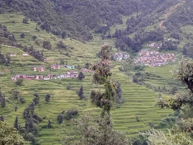 News Article Hero Image