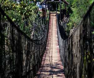 काली टाइगर रिजर्व के अधिकारीयों की मानें तो 4 साल पहले ही कैनोपी वॉक बनकर तैयार हो गया था।