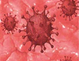 ओडिशा में कोरोना संक्रमण के 1917 नए मामले