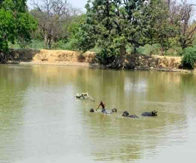 देशभर में ग्रामीण क्षेत्र के तालाबों में भारी अतिक्रमण, राज्यों को हटाने के  निर्देश, 53 हजार से अधिक तालाब नहीं है सिंचाई के लायक - Heavy encroachment  ...