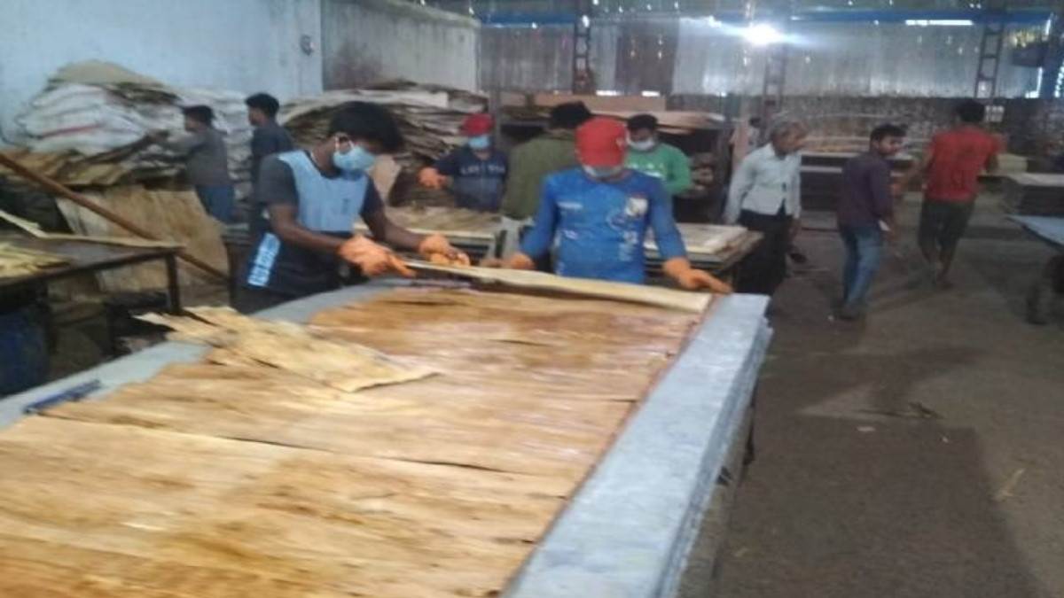 प्लाईवुड फैक्ट्रियों में फर्टिलाइजर मिनिस्ट्री की टीमों की रेड, यूरिया