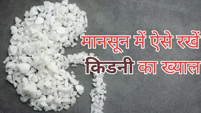 मानसून में ऐसे रखें किडनी का ख्याल