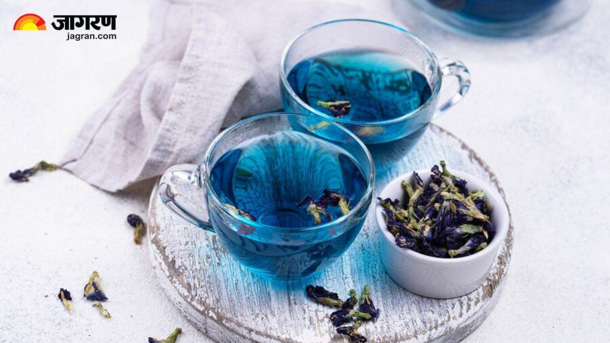 https://www.jagranimages.com/images/newimg/23072024/23_07_2024-blue_tea_benefits_23763757.jpg