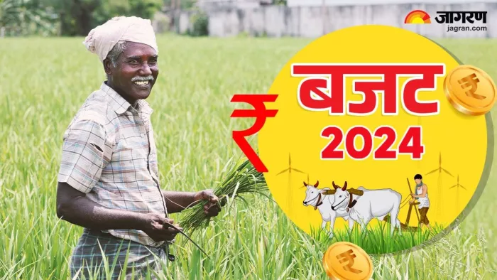किसानों के लिए बजट में क्या कुछ है खास, नेचुरल फार्मिंग पर फोकस