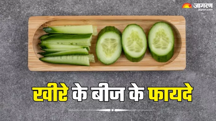 खीरे के बीज के हैरान करने वाले फायदे (Picture Credit- Freepik)