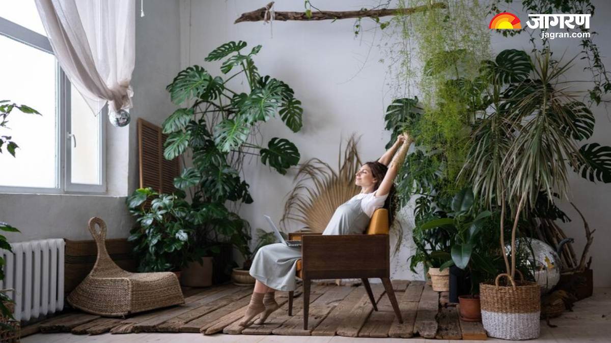 https://www.jagranimages.com/images/newimg/23072024/23_07_2024-eco_friendly_home_decor_ideas_23764043.jpg
