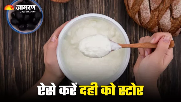 बरसात के मौसम में दही को खराब होने से बचाएंगे ये टिप्स (Image Source: Freepik)