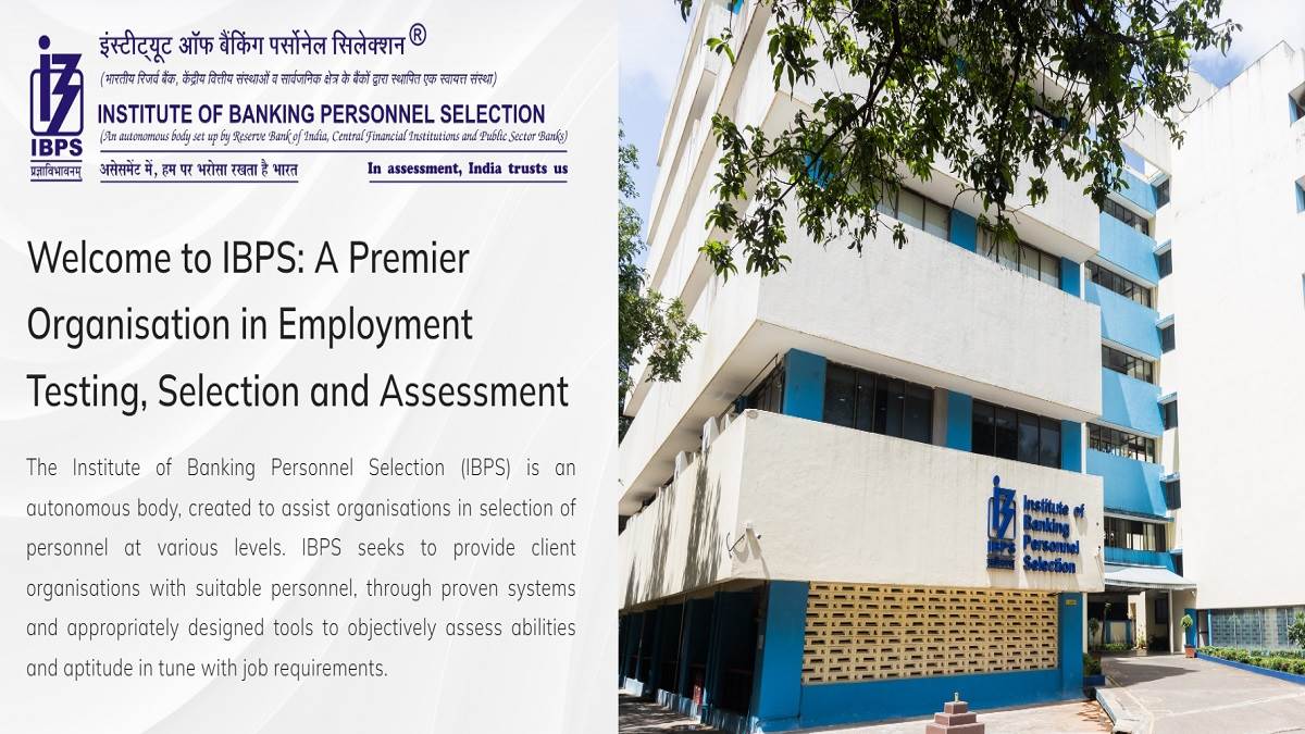 ibps rrb 13th pet admit card 2024 released for ibps office assistant officer scale 1 pre exam training download from here
