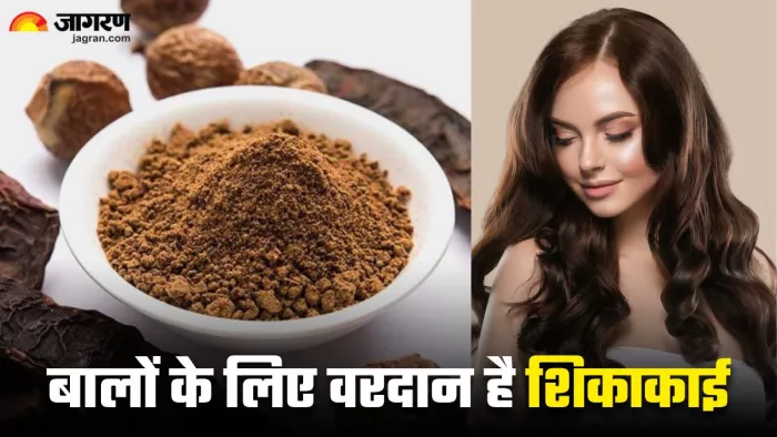 हेयर ग्रोथ के लिए इस तरह करें शिकाकाई का इस्तेमाल (Image Source: Freepik)