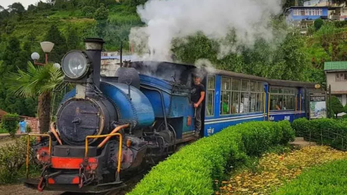 दार्जिलिंग में चलने वाली विश्व प्रसिद्ध ट्वाय ट्रेन की कमाई चालू वित्त वर्ष के प्रथम तिमाही में कम हुई है।