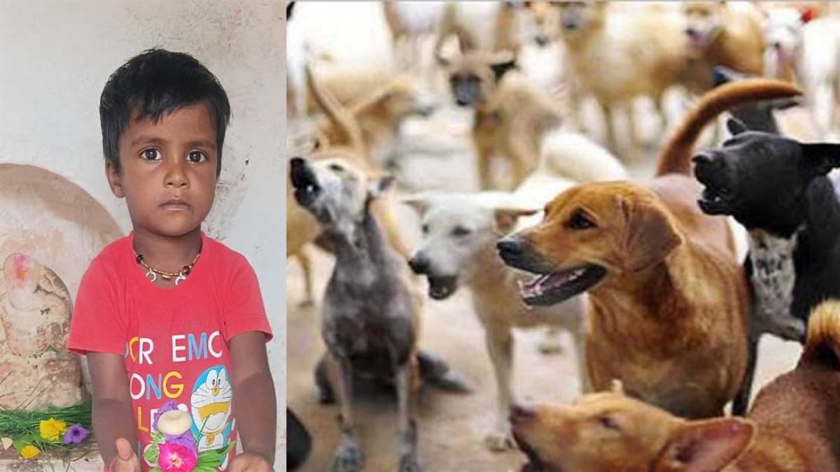 https://www.jagranimages.com/images/newimg/23072025/23_07_2025-dog_attack_banda_23992328.jpg