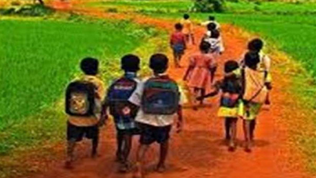 new update for dropout children bridge guides will be reinstated to connect them with mainstream of education