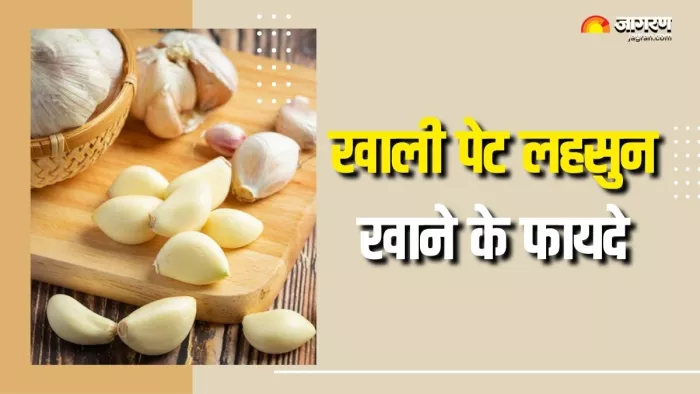 लहसुन से सेहत को मिलेंगे ढेरों फायदे (Picture Courtesy: Freepik)