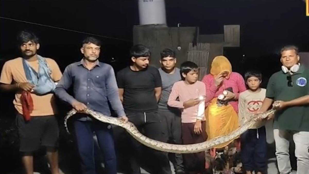 https://www.jagranimages.com/images/newimg/23072025/23_07_2025-pushkar_python_23992556.jpg
