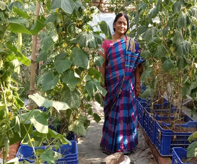 बेगूसराय के दवा व्यवसायी की अनोखी पहल वक्त काटना हुआ मुश्किल तो छत पर बसाया सब्जियों का संसार