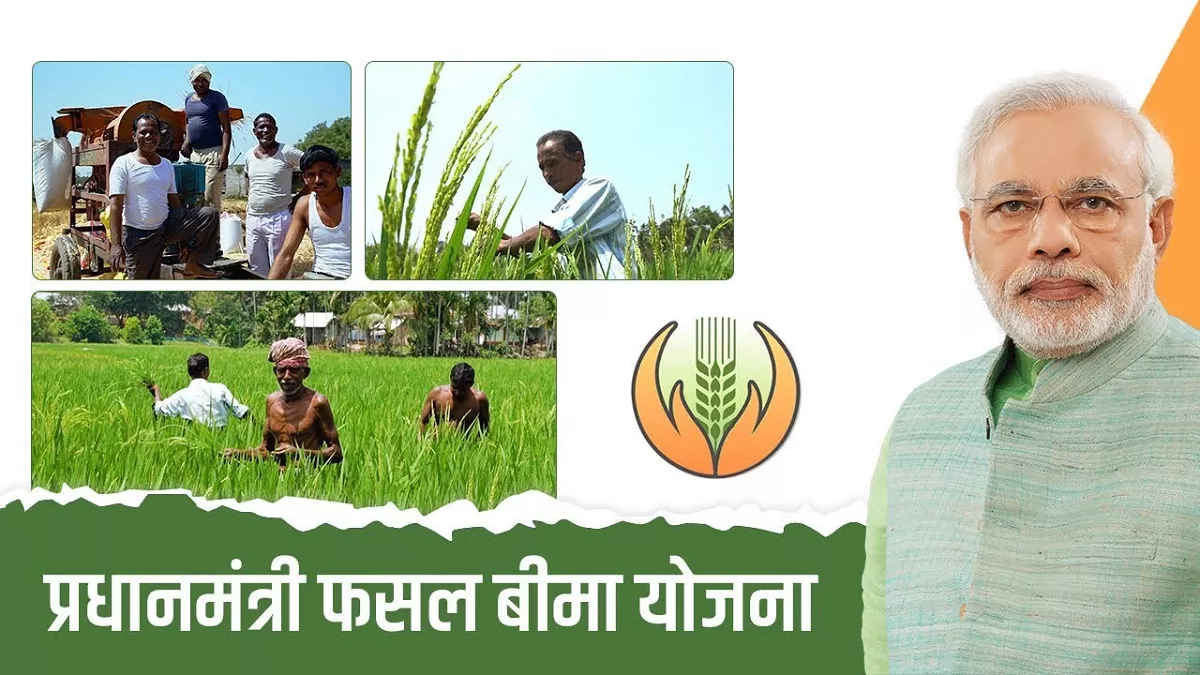 Prime Minister's Crop Insurance Scheme : बीमा कंपनियों की मनमानी किसानों पर पड़ रही भारी, बीमा से हो रहा मोह भंग - The arbitrariness of insurance companies is falling heavily on farmers