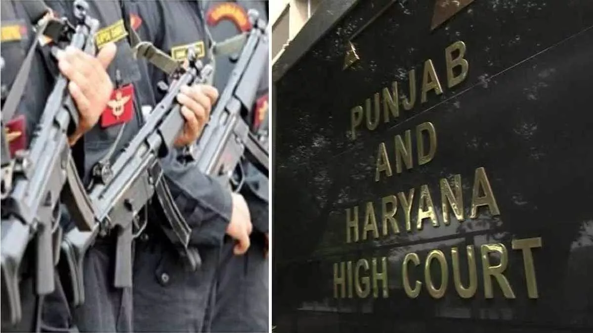 वीआइपी की सुरक्षा वापस लेने के मामले में पंजाब सरकार को झटका, हाई कोर्ट ने  कहा- रिव्यू करे सरकार - High Court blow to Punjab Government in withdrawing  VIP security