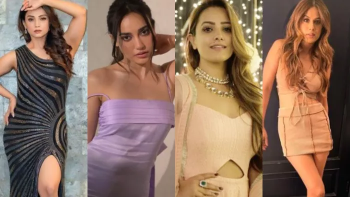Bigg Boss 17- बिग बॉस के घर में जाएगी ये फेमस 'नागिन' । Photo- Instagram