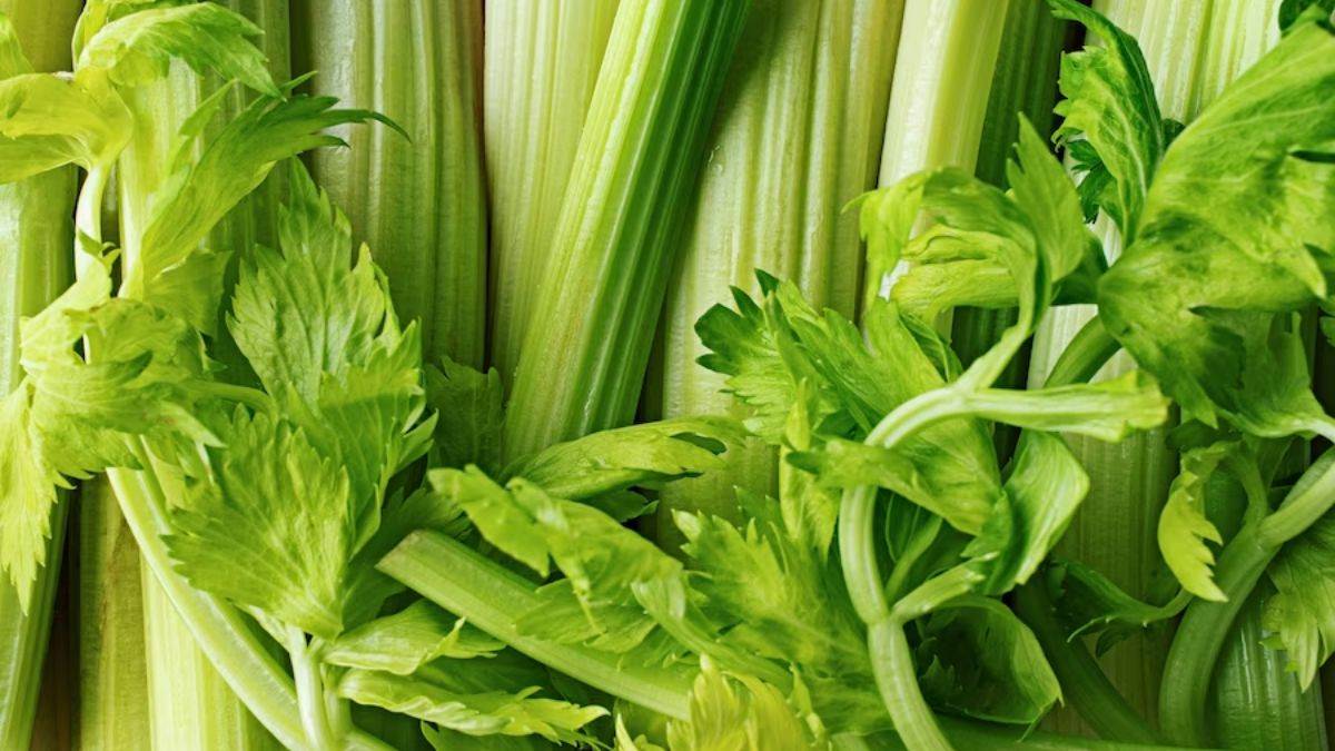 Celery Benefits वजन कम करने से लेकर हाई बीपी कंट्रोल करने तक, जानिए