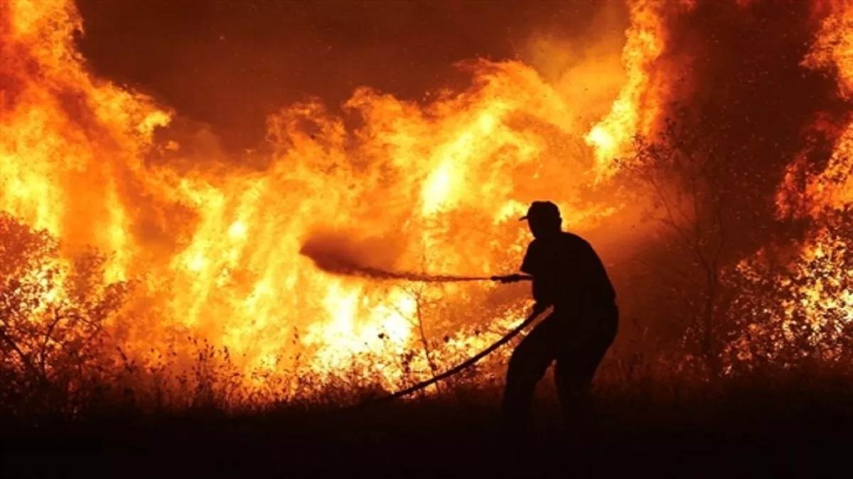 orgy of fire in the forests of greece rescuers found 18 charred bodies two firefighters injured
