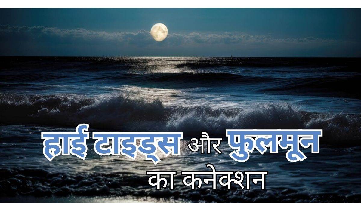 https://www.jagranimages.com/images/newimg/23082023/23_08_2023-tides_23510094.jpg