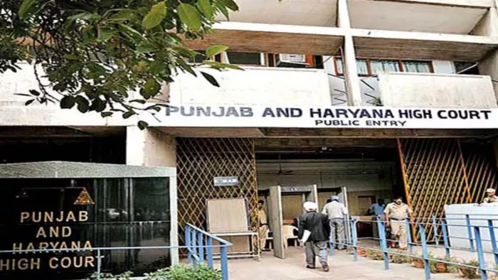 कलसी की हिरासत याचिका पर हाईकोर्ट ने लिया संज्ञान