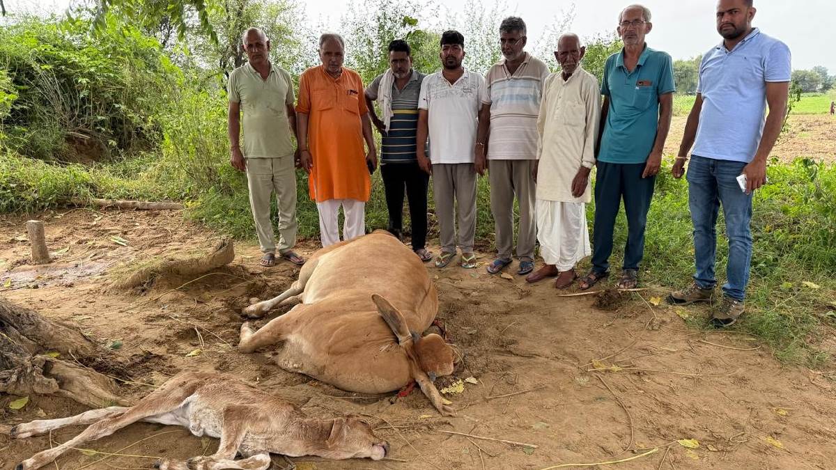 https://www.jagranimages.com/images/newimg/23082025/23_08_2025-died_news_latest_24022694.jpg