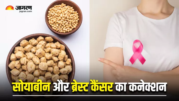 क्या Breast Cancer का खतरा बढ़ाती है सोयाबीन? (Image Source: Freepik)