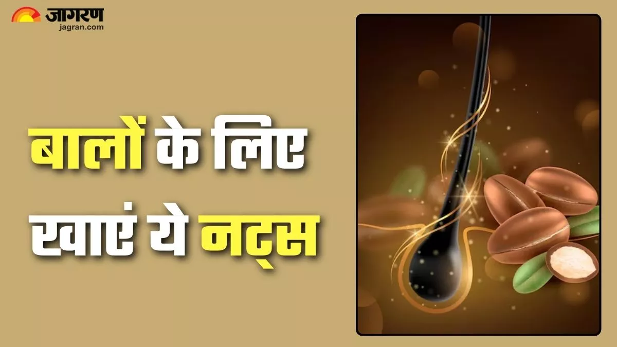 बालों के लिए बेस्ट माने जाते हैं ये नट्स; लंबे-घने और शाइनी हेयर के लिए आज से शुरू कर दें खाना