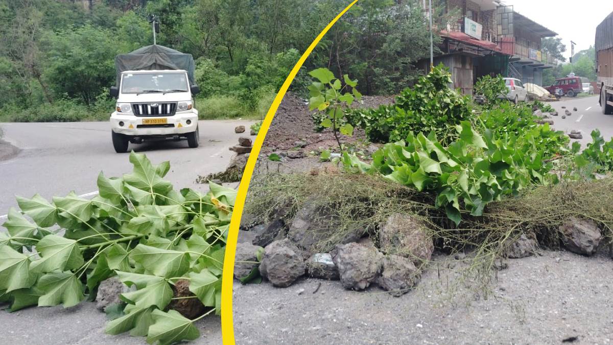 https://www.jagranimages.com/images/newimg/23082025/23_08_2025-himachal_newss_6_24022396.jpg