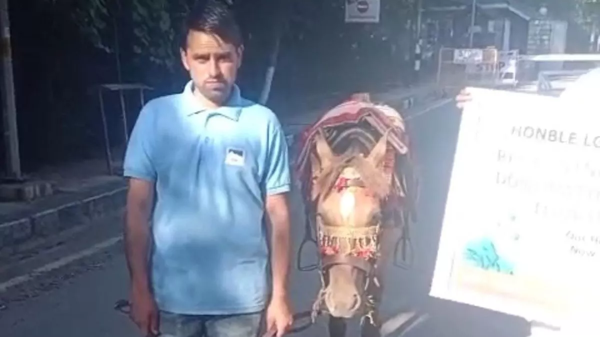 पहलगाम अटैक के बाद कश्मीर के लोगों पर छाया संकट, 1500 लोग भुखमरी के कगार पर; घोड़ेवाले ने LG से लगाई गुहार