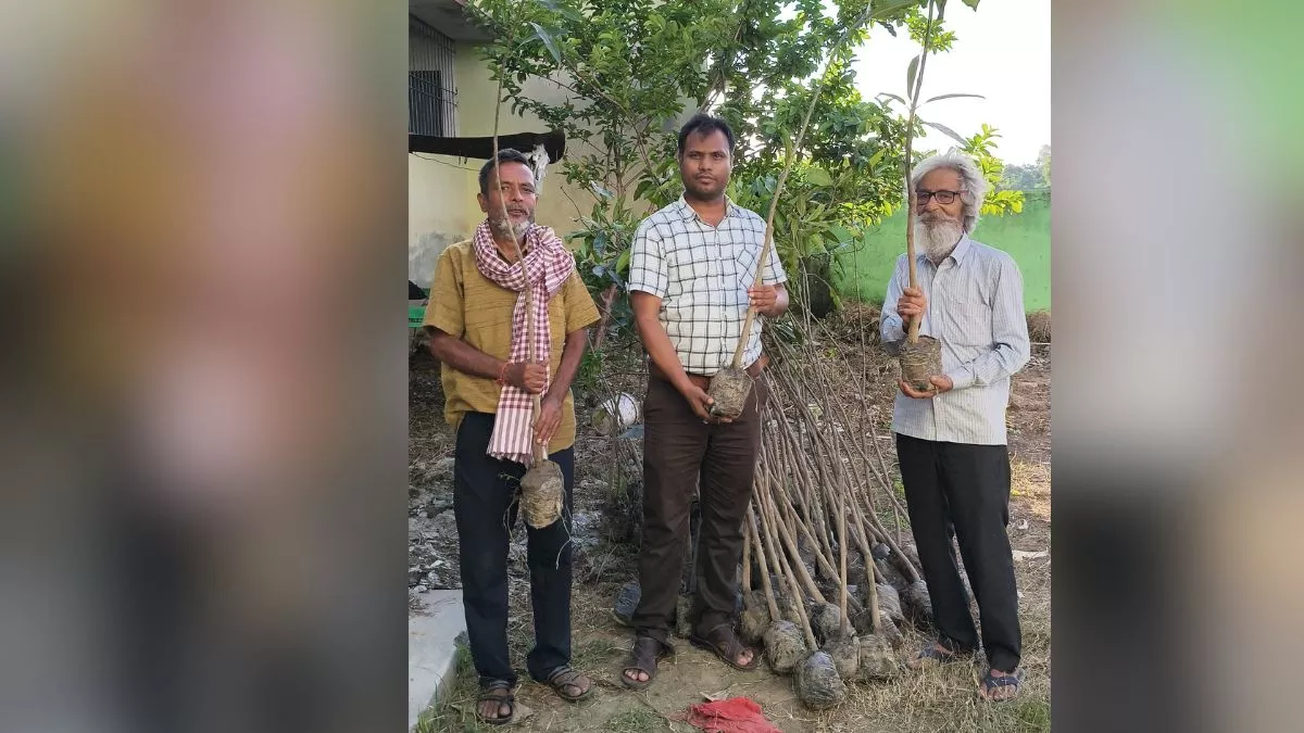 Agriculture Scheme: कैमूर के किसानों को आमदनी बढ़ाने का मौका, आम के बाग लगाने के लिए मिल रही 80% तक सब्सिडी