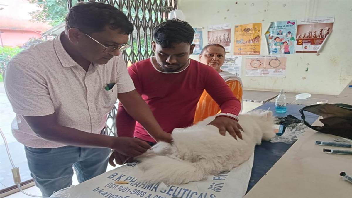 https://www.jagranimages.com/images/newimg/23082025/23_08_2025-pet_24022081.jpg