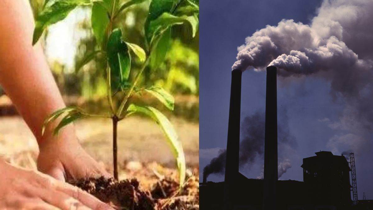 https://www.jagranimages.com/images/newimg/23082025/23_08_2025-pollution_tress_plantation_24022055_121754452.jpg