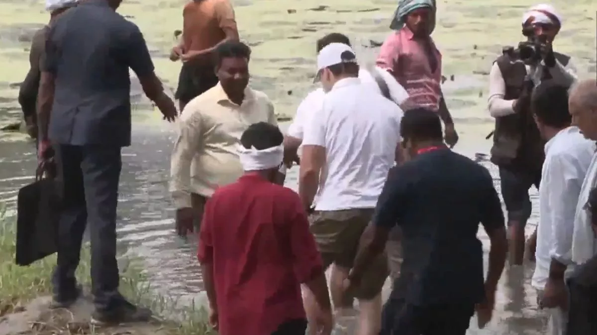 Voter Adhikar Yatra: अलग अंदाज में नजर आए राहुल गांधी, कटिहार में खेतों में उतर मखाना किसानों से की बातचीत