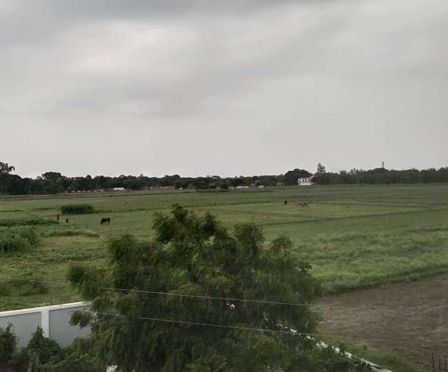 मौसम विभाग ने कई राज्यों में भारी बारिश की चेतावनी जारी की है (फोटो जागरण)