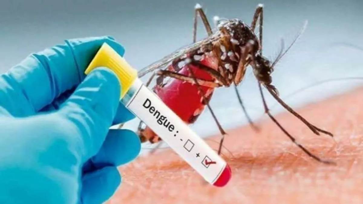 बारिश और जलभराव ने बढ़ाई एक और परेशानी, 2017 के बाद से पहली बार डेंगू का खतरा बढ़ा