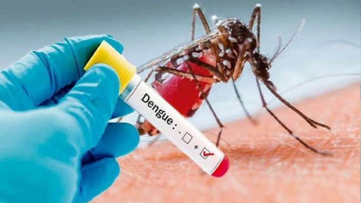 Dengue in Bareilly : शुक्रवार को हुई चार लोगों में डेंगू की पुष्टि