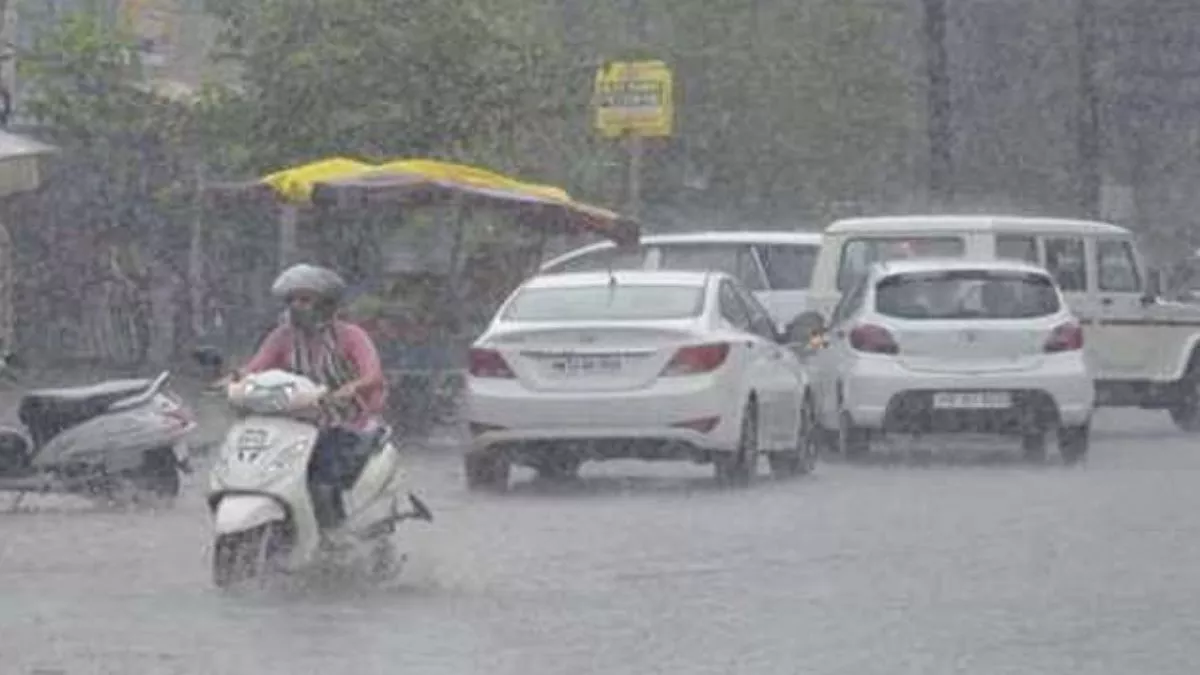 Ludhiana Weather Update: मौसम ने बदली करवट, शहर में सुबह से हो रही झमाझम वर्षा; 16 डिग्री तक पहुंचा तापमान