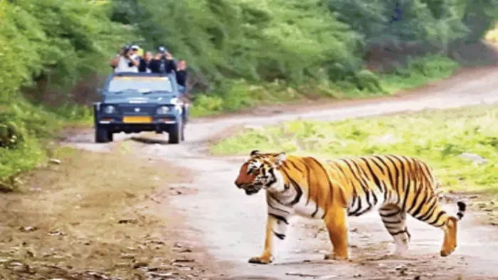 Jim Corbett National Park : अब जिम कार्बेट में नाइट स्टे के लिए देने होंगे दोगुने पैसे