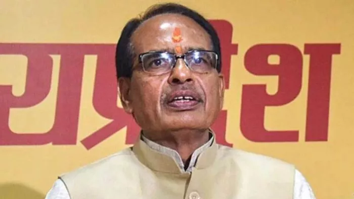 CM चौहान सीप अंबर सिंचाई परियोजना फेज- 2 का आज करेंगे भूमिपूजन (file photo)